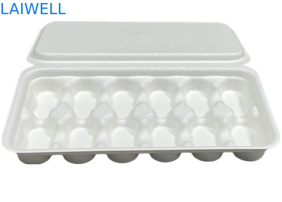 Witte kleur Duurzame bagasse Koffiebok Niet-giftig en veilig voor contact met voedsel Biologisch afbreekbaar EcoPack Accessoires met aangepaste merken